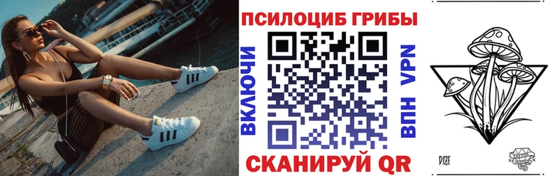 Галлюциногенные грибы Psilocybine cubensis  наркошоп  Кинель 